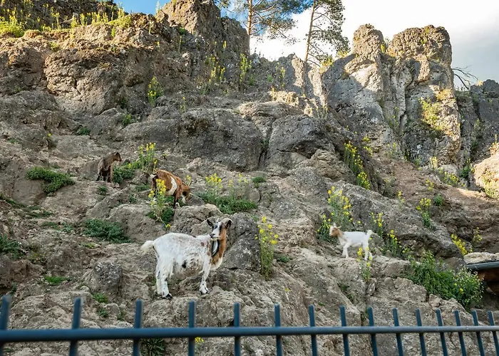 Cafe Leistner Πανσιόν 3*